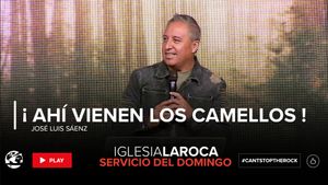 ¡Ahí Vienen Los Camellos!